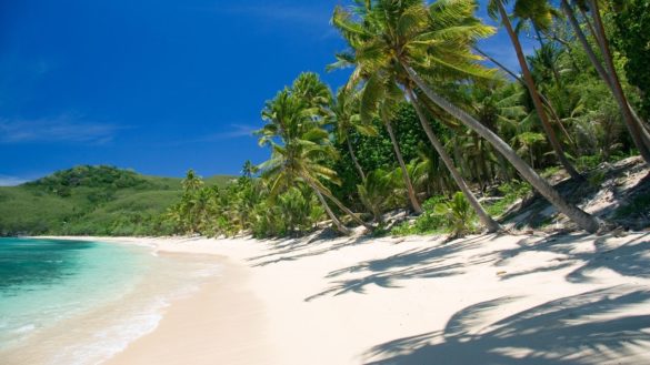 Пальмы на островах Фиджи